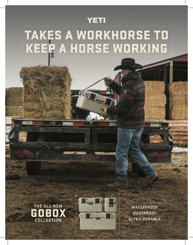 GoBox print ad