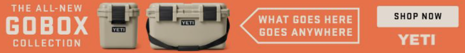 GoBox digital banner ad