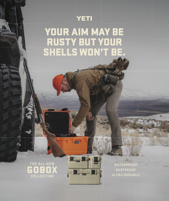 GoBox print ad